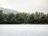 Nieve en Santa Rosa de Calamuchita