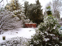 Santa Rosa de Calamuchita nevada