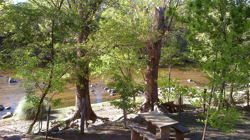 Mesas junto al río en Camping Los Alamos